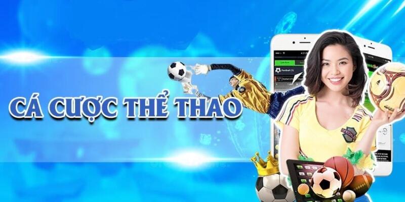 Sơ lược thông tin về sảnh cược thể thao Win365